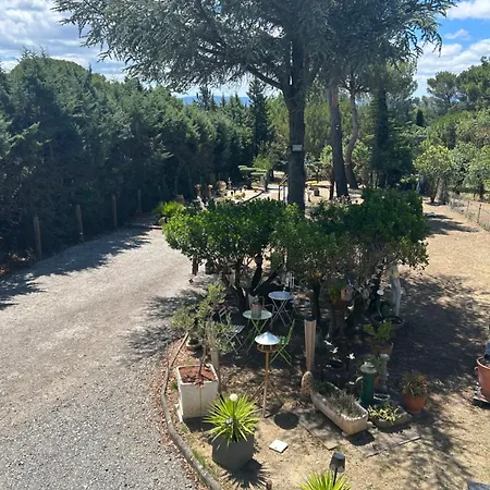 Apartment Appart-one Terrasse Jacuzzi Parking Carcassonne
