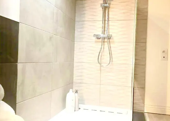 Appart-one Terrasse Jacuzzi Parking * Каркассон